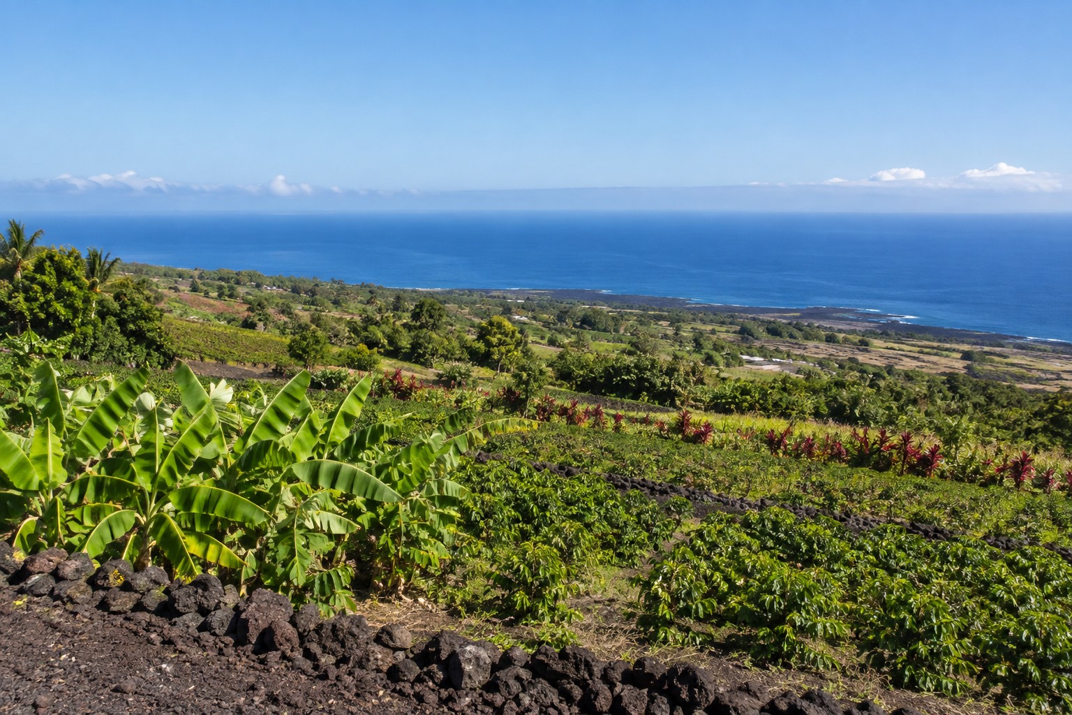 Kealakekua